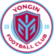 龙仁FC